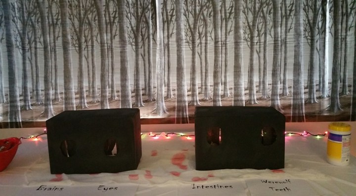 12187829_10208158130736685_2251236107412270527_n