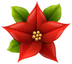 poinsettia.jpg