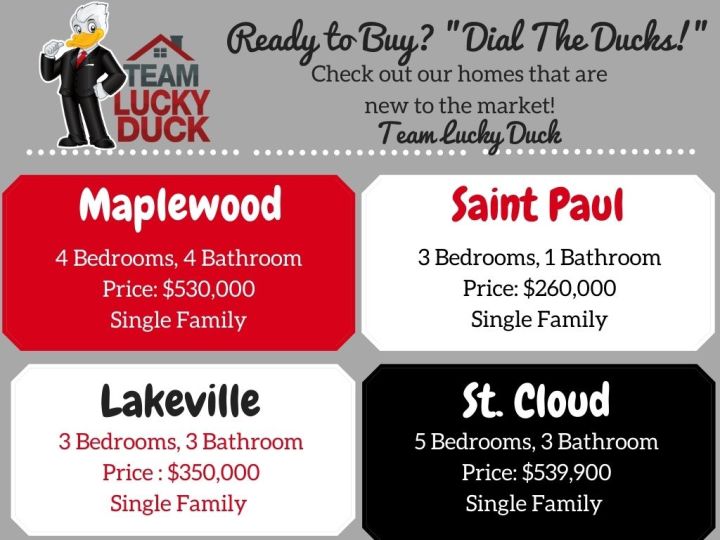 Copy of Copy of Buyer Needs & Coming Soons 8_19 (1).jpg